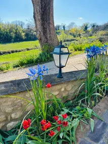 Villa Le Querce in the green heart of Umbria - Image 3