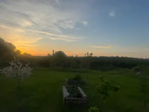 Fields For Days - Image 4