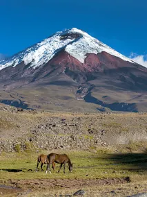 Hacienda Kaya Lodge, 20 minutes from Cotopaxi - Image 5