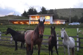 Hacienda Kaya Lodge, 20 minutes from Cotopaxi - Image 4