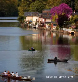 Bucolic cottage on the water - Image 4