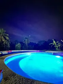 Villa Verde Estate - Image 3