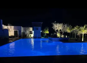 Desert Oasis - Image 3