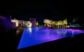 Desert Oasis - Image 4