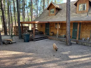 Boxer cabin - Image 3