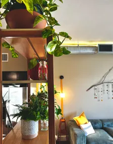 Private & Beautiful City Oasis - Walkable - Image 4
