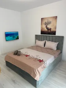 MM Apartment Ploiesti - Image 5