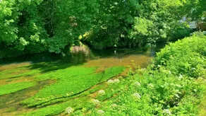 Parkside Studio Retreat, Near the station - Image 4