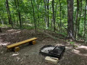 Wooded Bliss A frame - Image 4