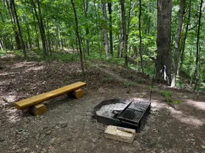 Wooded Bliss A frame - Image 5
