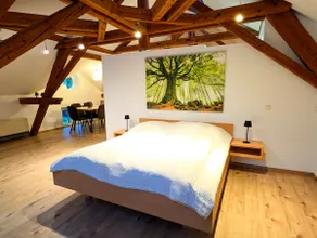 Loft in Weiler - Image 4
