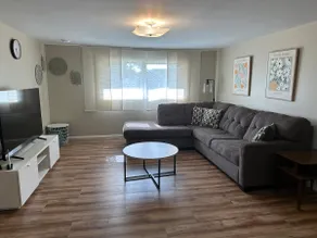 Walnut Wonder - Image 3