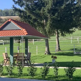 Villa Rondine Vendégház Tilaj - Image 3