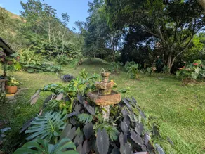 < 25 min from Medellin: Private Pool & Starlink - Image 4