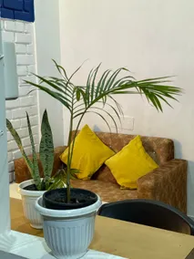 Teerth: Cozy Retreat by The Ganga & Hills - Image 5