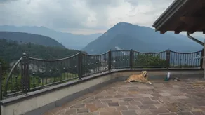 Chalet Vedetta Home in the heart of the Dolomites - Image 4