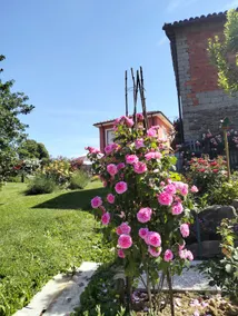 Casetta delle rose - Image 3