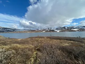Cozy family cabin with a view in the south of Jotunheimen. - Image 2