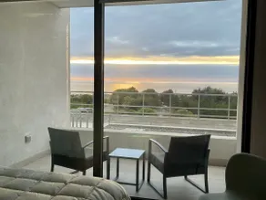 Kiwi Studio - Image 3