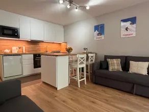 Alpine apartment in Swiss village of Torgon - Image 3