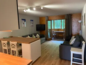 Alpine apartment in Swiss village of Torgon - Image 4