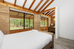 Grasstree - Image 4