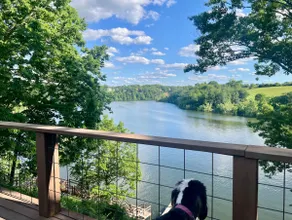Paradise Bluff Peaceful Lakeside Retreat - Image 5