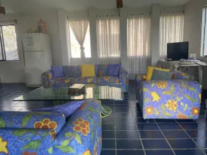 Seyle: Enjoy a large garden, pool and fronton. - Image 4