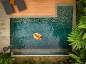 Lotus Forest Houses - Image 4