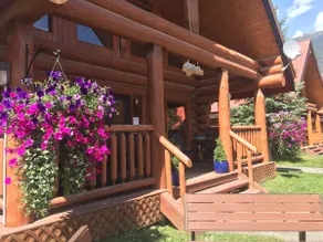Wild Pine Log Cabin in the heart of the Rockies - Image 3