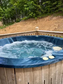 Couples Retreat• Fireplace• Hot Tub• - Image 5