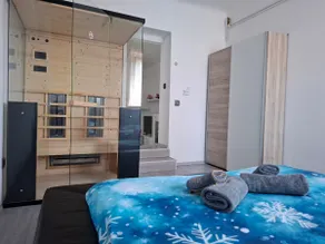 Tabor View Apartment with sauna-Free parking - Image 5