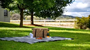 Albert Fields – Stay 3 Pay 2 - Image 4