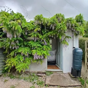 Wisteria Corner, Totnes - Image 3