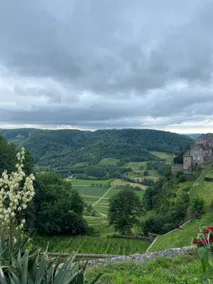 Gîte du Bas Castel - Image 5