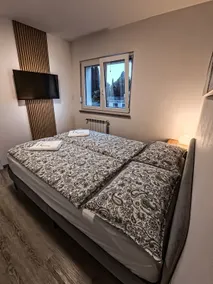 Standard apartment (bedroom + balcony) - Image 4