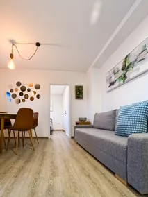 Standard apartment (bedroom + balcony) - Image 3
