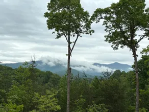 Ruby Ridge Retreat | Spectacular Mountain Views - Image 4