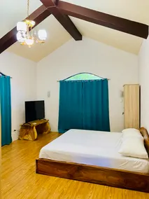 Pam Haus - Image 3