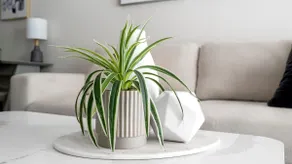 Landing | Stylish 1BD, Pool, Gym - Image 3