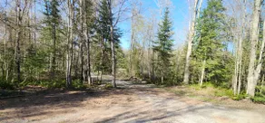 2-BR home near Picture Rocks in the Hiawatha NF - Image 4