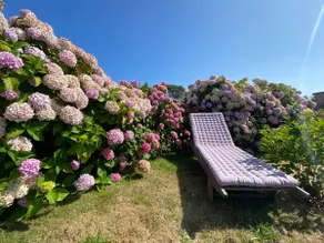 Beachfront house for 2 to 9 people - Image 3