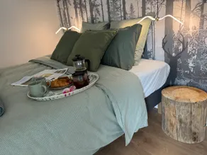 Les Reflet de Loire | Near the Loire & Abbey | 3* - Image 3