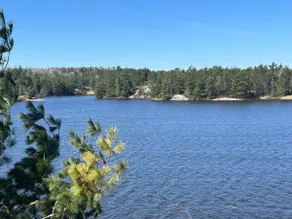 The Lake View - Image 4