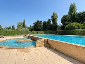 House, private garden, swimming pool, heart of the Alpilles - Image 4