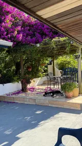 Farm 1 km from downtown Lapa - Image 2