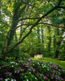 Cabin in the trees - Image 2