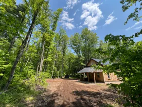 Quiet cabin in the woods - Image 2