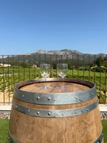 The Adriju between vineyards and hills - Image 3