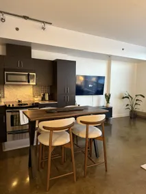 Country Meets City! Modern 1BR Downtown Condo - Image 3